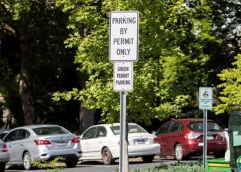 Moscow panel rejects live entertainment idea | Local