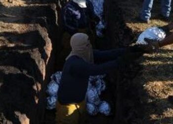 Shiloh Ox Roast, Crawford County fair