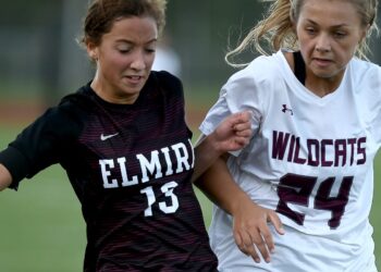 NY high school athletics in 2020-21 could include swapping sports