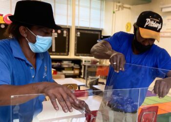 ERs filling up in US; stimulus checks; Trump