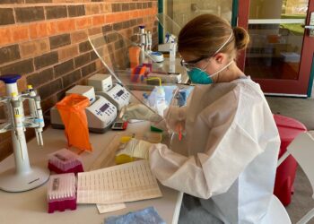 cheap, quick, at-home rapid test is needed, experts say