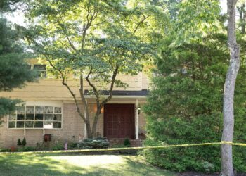 Roy Den Hollander identified as suspect in shooting