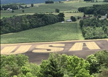 USA Field still growing strong – News – The Wellsville Daily Reporter