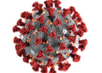 Area reports 38 new virus cases – News – Northwest Florida Daily News