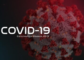 COVID-19 death toll continues to climb in Northwest Florida – News – Northwest Florida Daily News