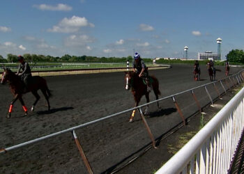 ‘It’s a Big Relief to be Back:’ With Health and Safety Protocols In Place, Arlington Ready to Start Racing – NBC Chicago