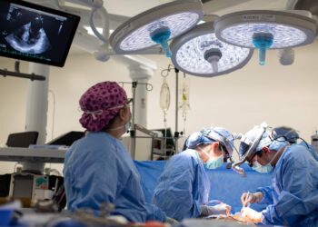 UF Health Shands has successful double-lung transplant on COVID-19 survivor