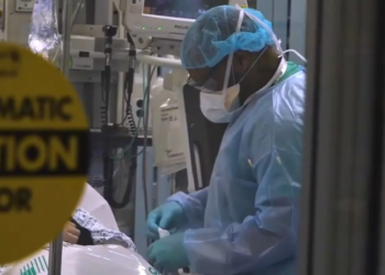 Surge of COVID Cases Puts Strain on South Florida Health Care System – NBC 6 South Florida