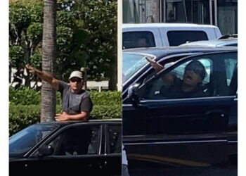 Driver performs Nazi salute toward Sherman Oaks Galleria protesters – Daily News