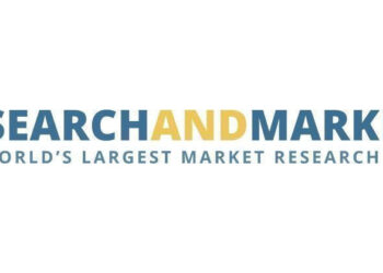 Global Consumer Automobile Entertainment Market (2020 to 2025)