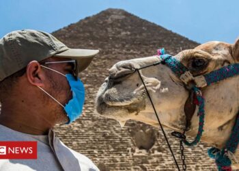 Egypt desperate to revive coronavirus-hit tourism industry