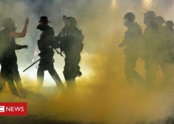 Federal agents ‘abuse power’ in Portland protester arrests