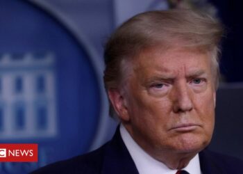 Trump concedes pandemic to ‘get worse before it gets better’