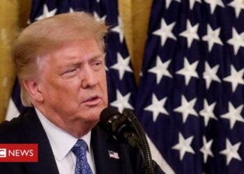 Donald Trump suggests delay to 2020 US presidential election