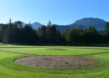 Sports fields reopen for bookings