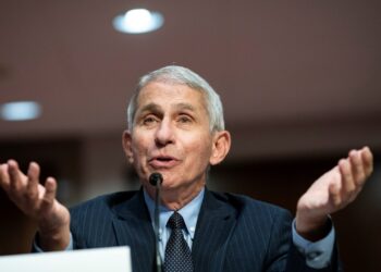 US reels from coronavirus as daily cases hit record, deaths surge | USA News