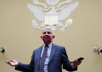 Dr. Anthony Fauci, top COVID-19 experts testify to House committee