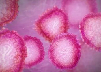 Governor, Public Health Commissioner Concerned About COVID-19 Outbreaks in Teens, Young Adults – NBC Connecticut