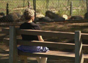 Say hello to Hello Idaho, a new ongoing conversation about mental health, domestic violence and substance abuse