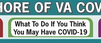 Harvard School of Public Health: Schools Should Reopen
