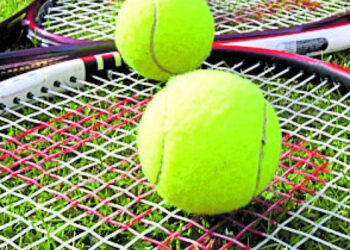 Sports equipment makers on a sticky wicket