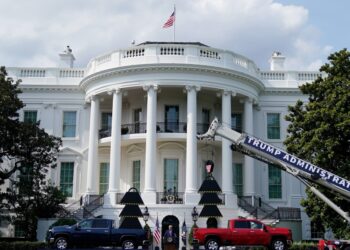 Trump ‘hijacking’ White House events for politics: experts