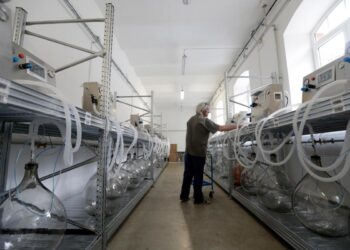 Czech Volunteers Develop Functioning Lung Ventilator in Days | World News