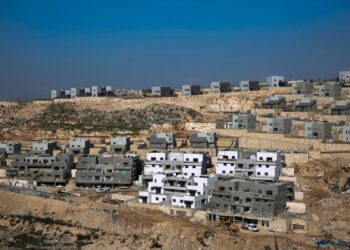 Israel Supporter’s Dramatic Shift Shocks Establishment | World News