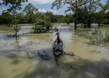 Monsoon Floods, Landslides Kill at Least 221 in South Asia | World News