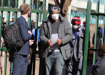 Zimbabwean Journalist, Opposition Figure Appear at Court | World News