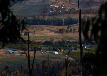 Bushfires And Coronavirus: Disasters Increase Domestic Violence : Shots