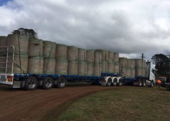 Voice of Regional Australia: Despite rain, drought ‘still real’ for many across nation | The Canberra Times