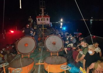 Turkey Says It Detains 276 Migrants in Smuggling Operation | World News