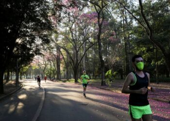 Latin American Coronavirus Deaths Overtake North American Fatalities | World News