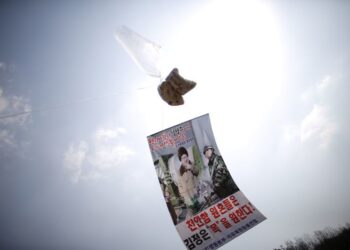 South Korea Revokes Licences of Leaflet-Sending Anti-North Groups | World News
