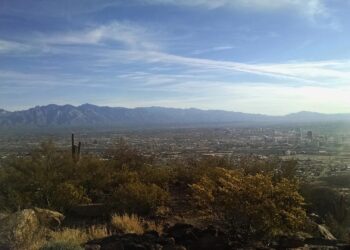 Daily news roundup: Arizona COVID-19 cases, educators on reopening calls