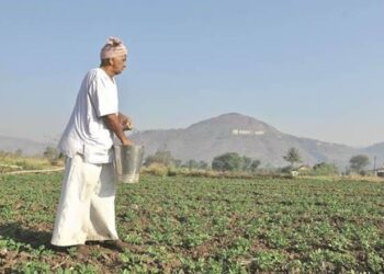 Seed war? Centre alerts states about unsolicited parcels