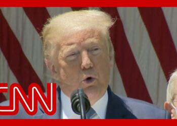 The pandemic gets political