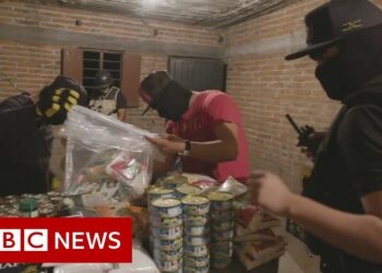 Coronavirus: How Mexican cartels are taking advantage of pandemic – BBC News