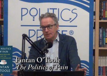 Fintan O'Toole, "The Politics of Pain"