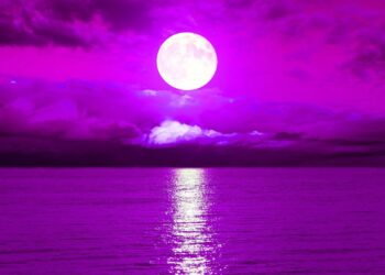 ? Deep Sleep Music 24/7, Insomnia, Sleep Music, Calming Music, Meditation Music, Study Music, Sleep