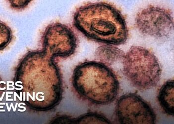 239 scientists warn World Health Organization of airborne transmission risks from coronavirus