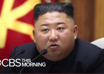 Health of North Korea's Kim Jong Un in question