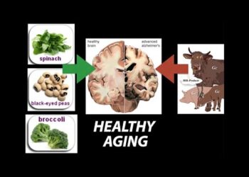 Healthy, (Nutrient) Wealthy and Wise: Diet for Healthy Aging – Research on Aging