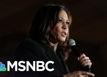 Veteran Political Advisor: Trump Calling Harris ‘Nasty’ Not A Disciplined Attack | MSNBC