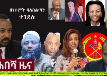Ethiopia: ዘ-ሐበሻ የዕለቱ ዜና | Zehabesha Daily News March 25, 2020