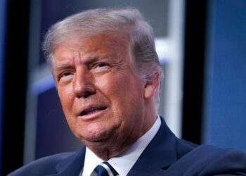 Maryanne Trump Barry criticized her brother, Donald Trump, in audio secretly recorded by her niece Mary Trump