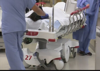 Hawaii health department investigates COVID-19 cases linked to gentleman’s club and school