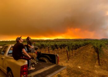 California’s new COVID-19 test contract could address delays, shortages