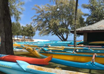 Hawaii could delay new tourist protocols due to surging COVID-19 cases